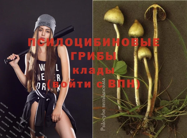mdpv Зеленокумск