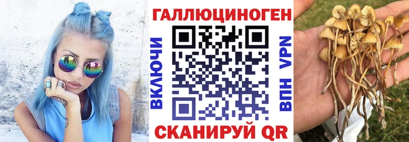 Псилоцибиновые грибы прущие грибы  Купить закладки  Верхняя Салда 